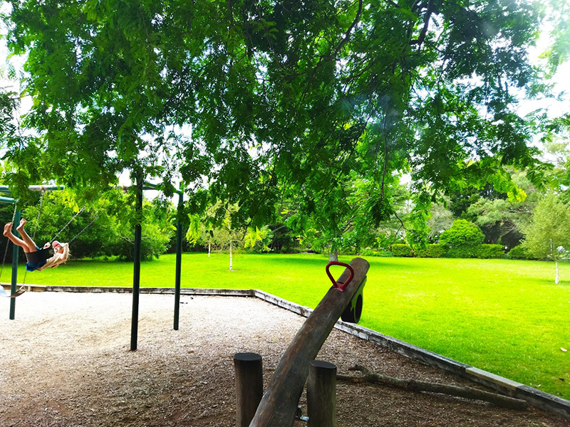 Picnics