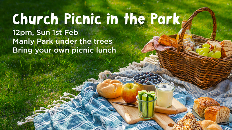 Picnic in the Park (2026) ws