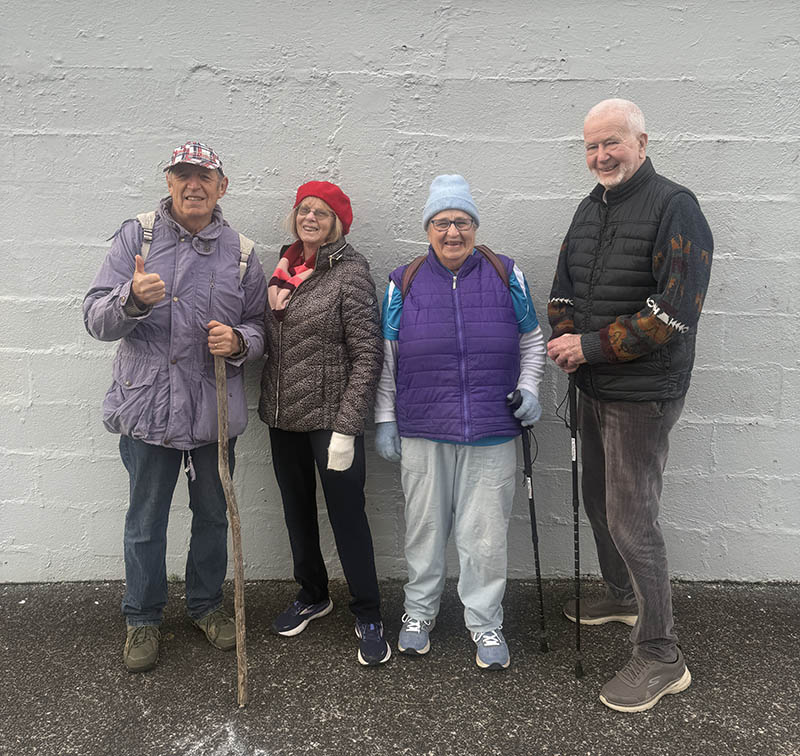 Wednesday Walkers - Cropped